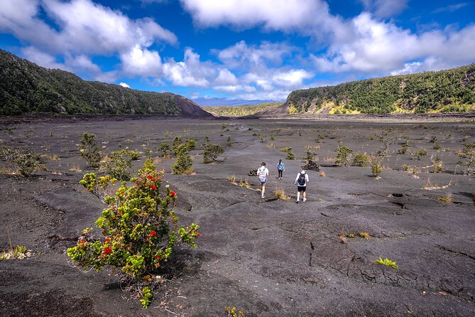 Expert Led Private Guided Tour Hawaii Volcanoes National Park - Volcanoes, But With a Real Human Guide