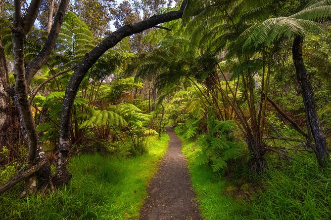 Expert Led Private Guided Tour Hawaii Volcanoes National Park - Price and Logistics: What $600 Per Group Really Means