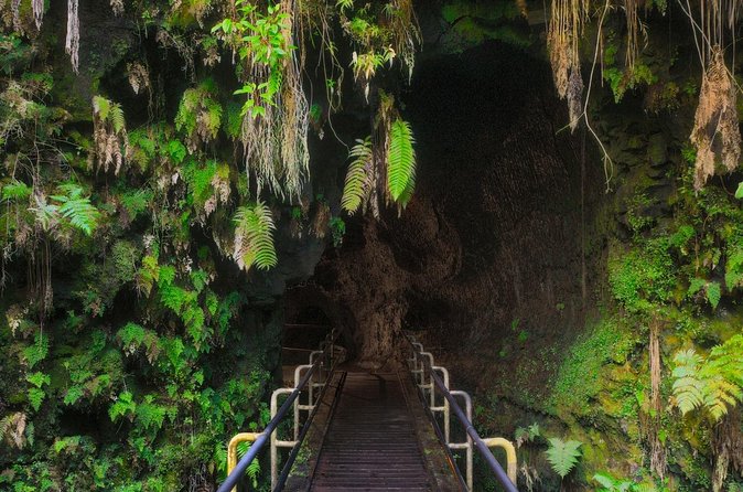 Expert Led Private Guided Tour Hawaii Volcanoes National Park - Who Should Book This Private Tour (and Who Might Not)