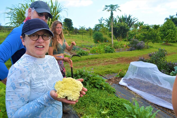 Farm to Table Cooking Class at Kulaniapia Falls - Key highlights to know before you go