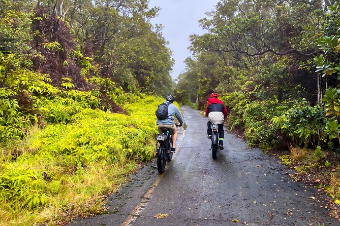 Fat Tire E-Bike Rental - Volcanoes National Park - The 3-hour ride windows: morning vs afternoon