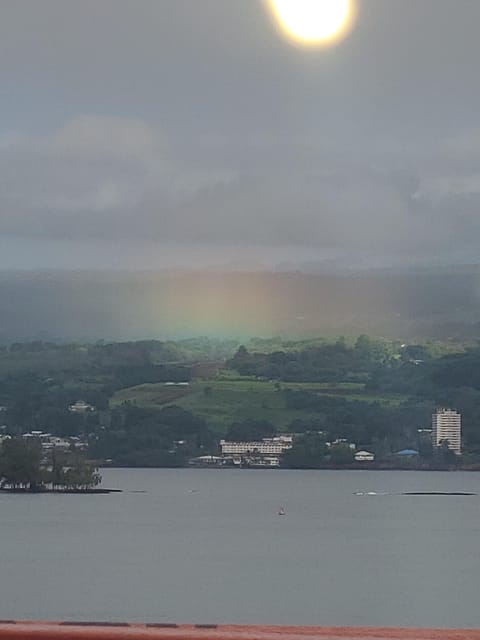 From Hilo: Hawaii Volcanoes National Park Tour - Hilo Culture Warm-Up: banyan-tree fame, Liliuokalani Gardens, and Kamehameha