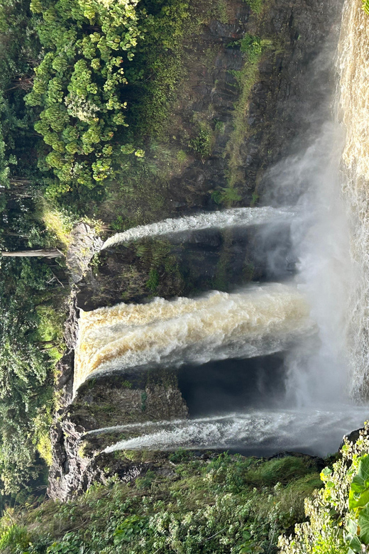 From Hilo: Hawaii Volcanoes National Park Tour - Should you book the From Hilo Volcanoes National Park Tour?