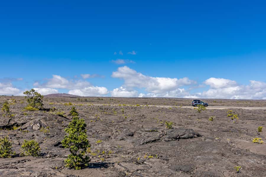 From Kailua-Kona: All-Inclusive Volcanoes National Park Tour - Key things that make this tour worth your time