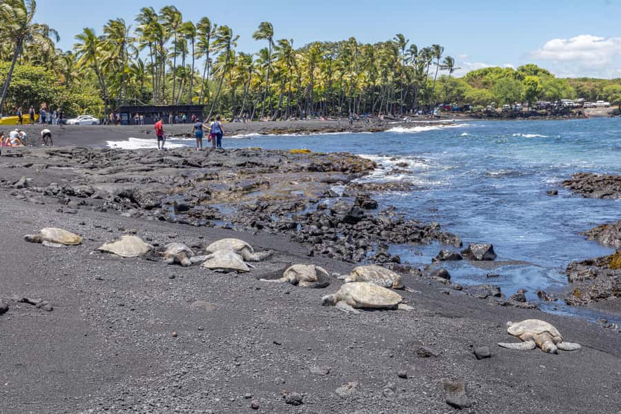 From Kailua-Kona: All-Inclusive Volcanoes National Park Tour - Included Gear and the Photo Package That Saves Your Memory