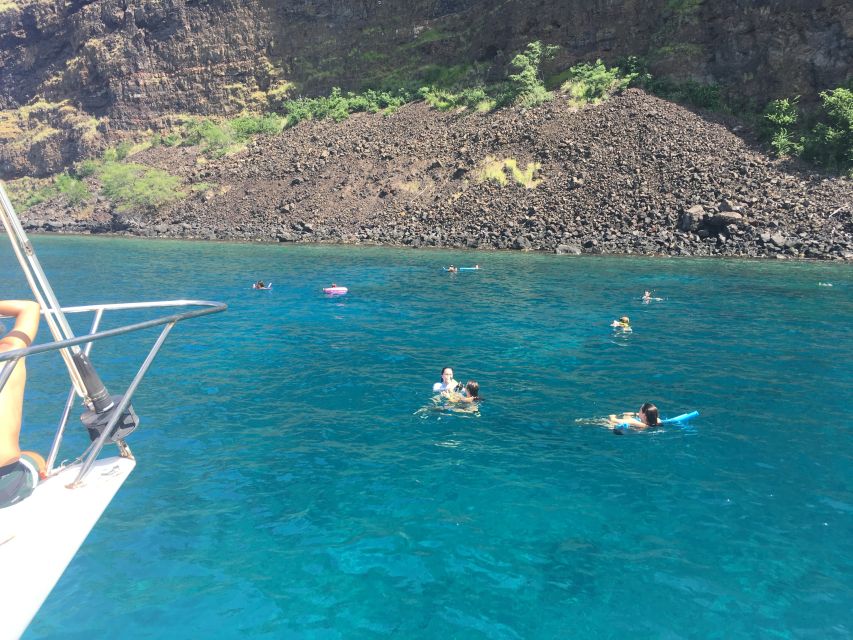 From Keauhou Bay: Snorkel Cruise to Captain Cook's Monument - Whale and dolphin season: what timing changes