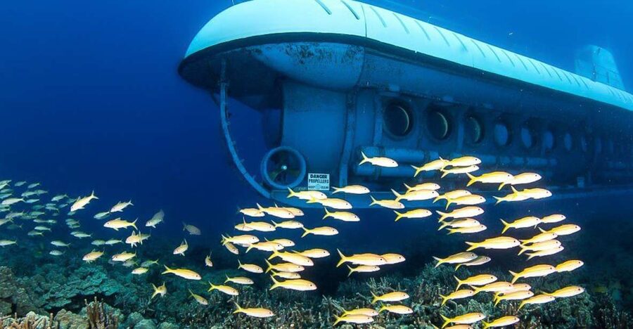 From Kona: Big Island Underwater Submarine Adventure - What You’re Really Buying: a 45-Minute Underwater Viewing Session