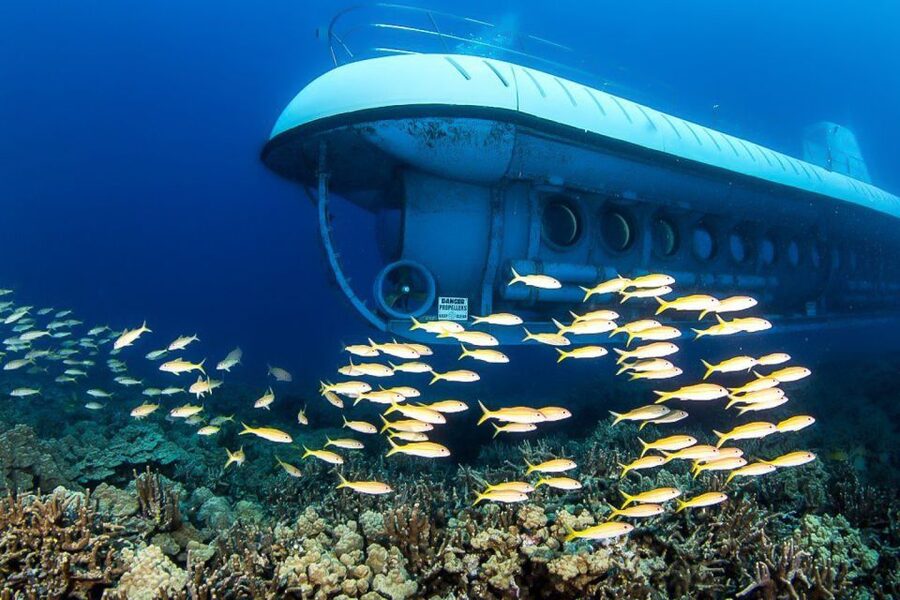 From Kona: Big Island Underwater Submarine Adventure - Getting to the Check-In and Boarding at King Kamehameha