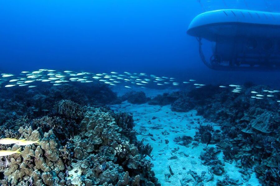 From Kona: Big Island Underwater Submarine Adventure - The Crew and Tour Commentary: Live Guide + English Audio That Actually Helps