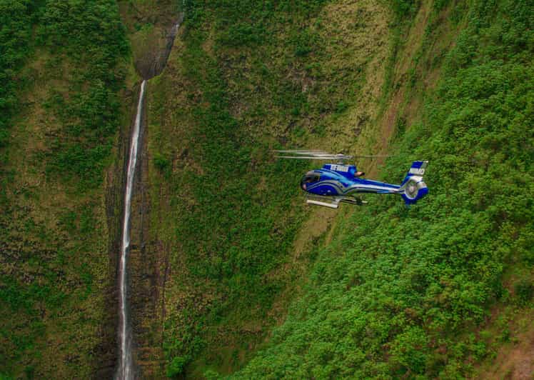 From Waikoloa: Kohala Coast Helicopter Adventure - Quick take: what makes this flight worth your money