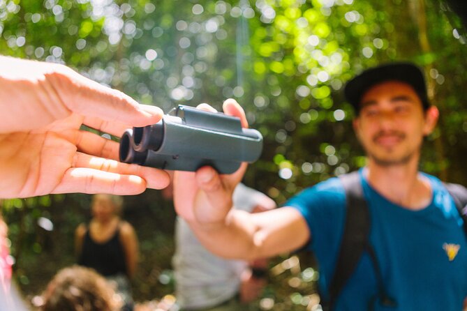 Full-Day Hakalau Forest Reserve Bird Watching Adventure - Pua Akala Tract Access: Restricted Land Birding at the Right Altitude