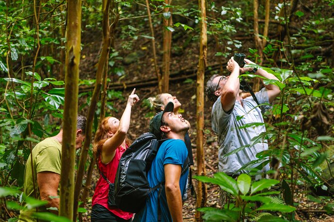 Full-Day Hakalau Forest Reserve Bird Watching Adventure - Who This Hakalau Forest Bird Tour Fits Best