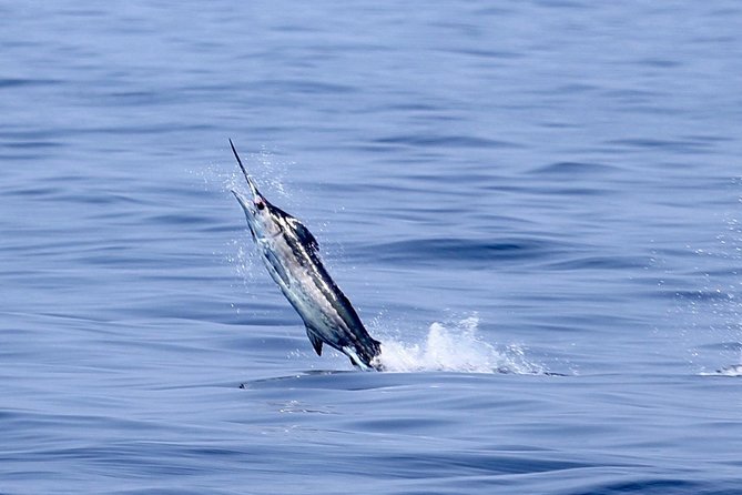 Full Day Sportsman/Enthusiast Charter - Key Things I’d Save in Your Notes