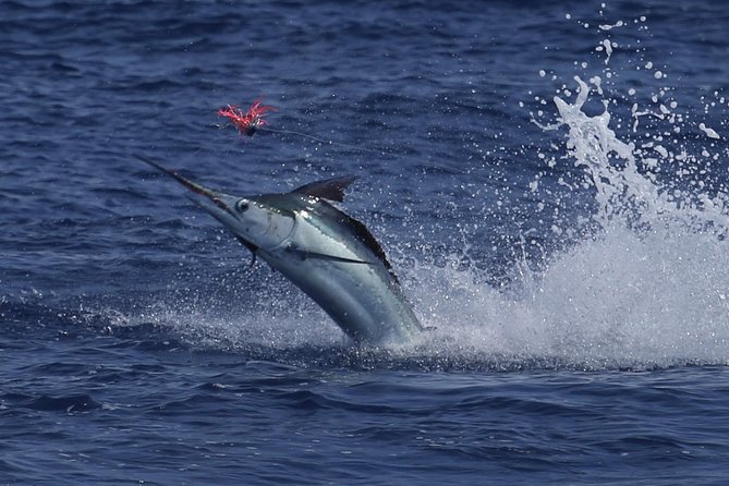Full Day Sportsman/Enthusiast Charter - Gear, Cooler Ice, and What You Should Actually Bring