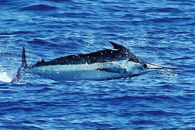 Full Day Sportsman/Enthusiast Charter - Quick Fit Guide: Who This Charter Is Best For