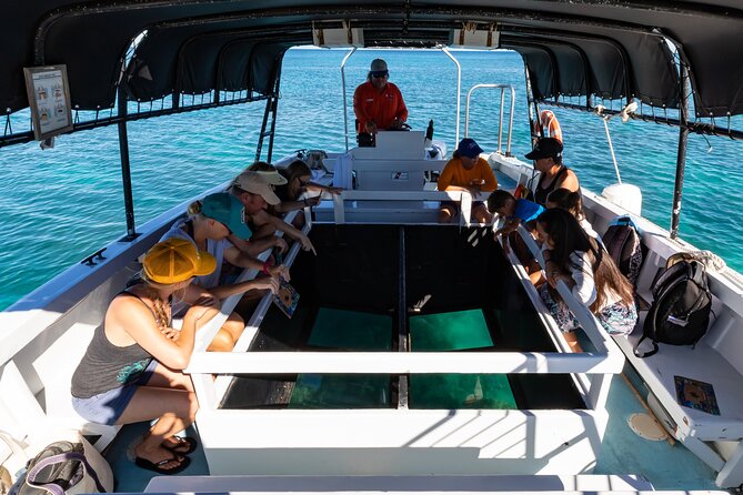 Glass-Bottom Boat Cruise from Waikoloa - Glass-Bottom Boat Cruise in Anae’omalu Bay: The Real Value