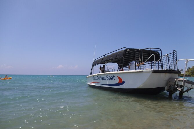 Glass-Bottom Boat Cruise from Waikoloa - Sea Turtle and Fish Sightings: How to Set Your Expectations