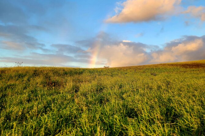 Green Sands Adventure ATV Ride - Ancient Kiawe Forest to Ocean Cliffs: Turtle Sightings at the Edge of the Sea