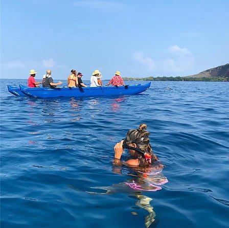 Guided Outrigger Canoe Tour in Kealakekua Bay - Price and Value: Is $155 Worth It for This Bay?