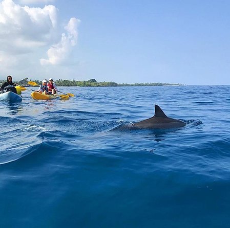 Guided Outrigger Canoe Tour in Kealakekua Bay - Who This Tour Suits Best (and Who Should Think Twice)