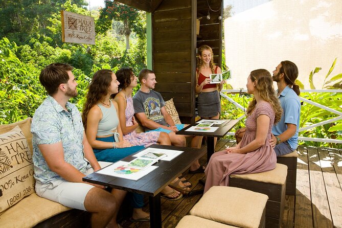 Hala Tree Coffee Farm Tour - Where Hala Tree Coffee fits on your Big Island day