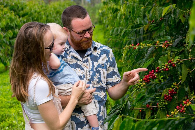 Hala Tree Coffee Farm Tour - Coffee flight tasting: the part that makes people linger