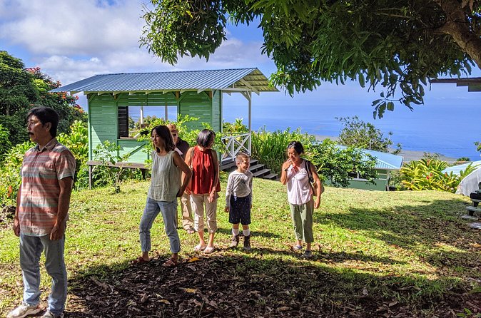 Hala Tree Coffee Farm Tour - Who this tour suits best (and who might want to skip it)