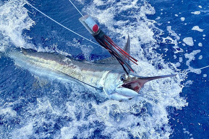 Half Day Afternoon Angler Charter - Where You Meet and How Not to Get Lost at Finger Pier