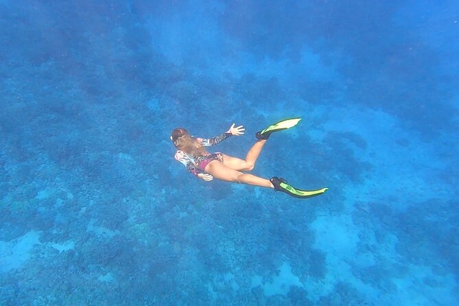 Half Day Private Cruise Tour with Snorkeling and Fishing in Kona - Key Points You’ll Care About on a Kona Snorkel-and-Fish Cruise