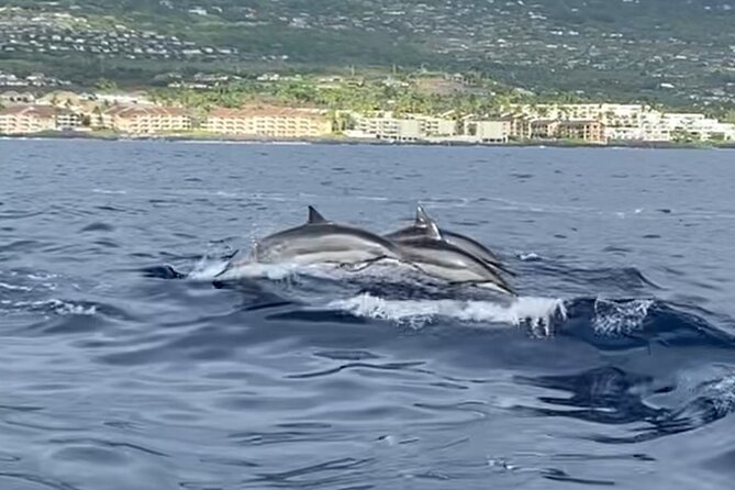 Half Day Private Cruise Tour with Snorkeling and Fishing in Kona - Fishing Time Off the Kona Coast: How to Get Value From Half-Day