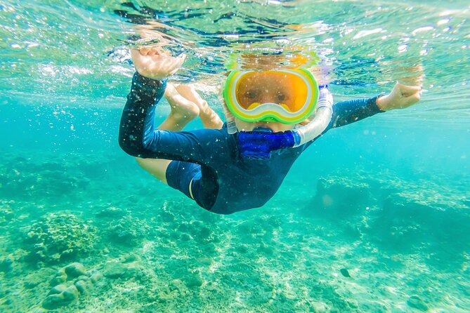 Half Day Private Cruise Tour with Snorkeling and Fishing in Kona - Who This Kona Cruise Suits Best (And Who Might Want Something Else)