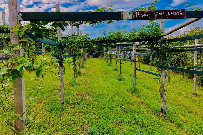 Hamakua Coast Farm Small-Group Walking and Tasting Tour - Key things to know before you go