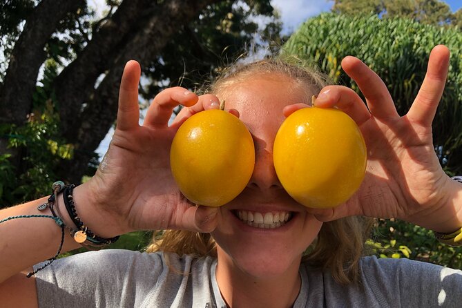 Hamakua Coast Farm Small-Group Walking and Tasting Tour - Price and What Makes This Tour Worth the $49
