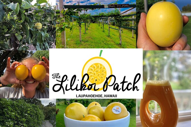 Hamakua Coast Farm Small-Group Walking and Tasting Tour - Your Lilikoi Tour Lesson: How Fruit Tells the Story