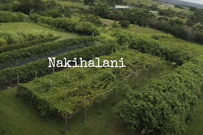 Hamakua Coast Farm Small-Group Walking and Tasting Tour - Tastings Included: Lilikoi Specialties, Mamaki Tea, and Sugar Cane Juice