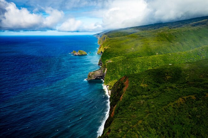 Hamakua Coast & Valleys Safari - Hamakua Coast & Valleys Safari: why this 1 hour feels so worth it