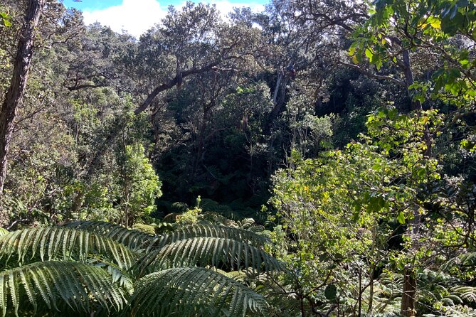 Hawai'i's Volcanoes National Park from Hilo Only - Rainbow Falls: One of the Best Low-Effort Photo Stops on the Island