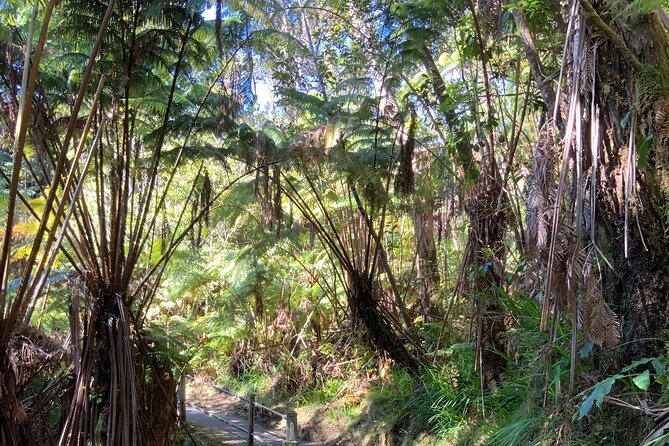 Hawai'i's Volcanoes National Park from Hilo Only - Price and Value: What $229.99 Buys You (and What It Doesn’t)