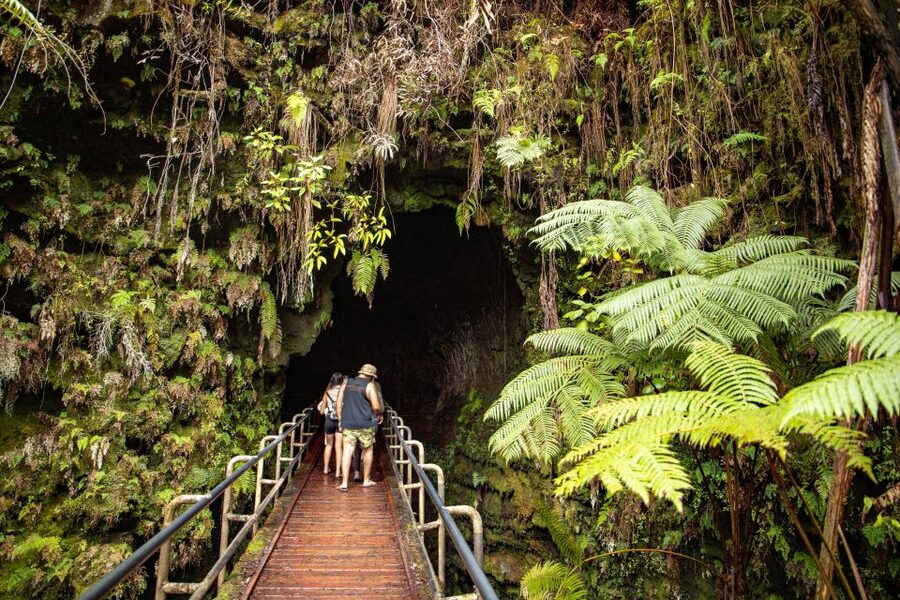 Hawaii: All-Inclusive Volcanoes and Waterfalls Private Tour - Akaka Falls State Park: A Guided Walk Pause Before the Volcano Heavyweights