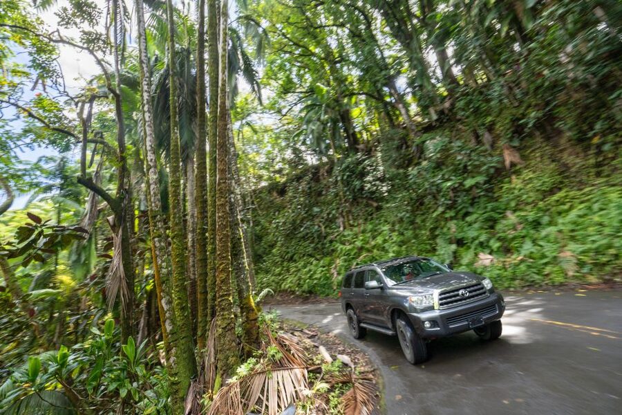 Hawaii: All-Inclusive Volcanoes and Waterfalls Private Tour - Wahinekapu Steaming Bluffs: Feel the Heat, Not Just Hear About It