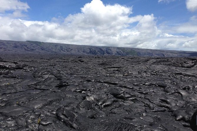 Hawaii Big Island Circle Small Group Tour: Waterfalls - Hilo - Volcano - Black Sand Beach - Punalu’u Black Sand Beach: Sea Turtles and a Different Kind of Coast