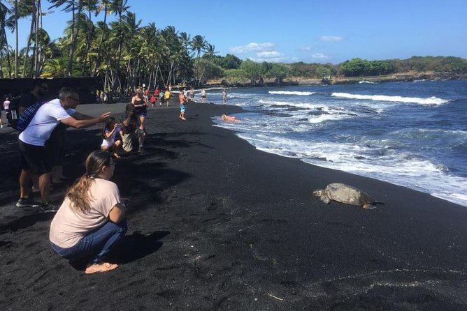 Hawaii Big Island Customized Private Tour - Key highlights I’d prioritize