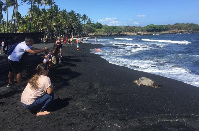 Hawaii Big Island Customized Private Tour - Akaka Falls State Park: a tall waterfall plus a photo-friendly loop