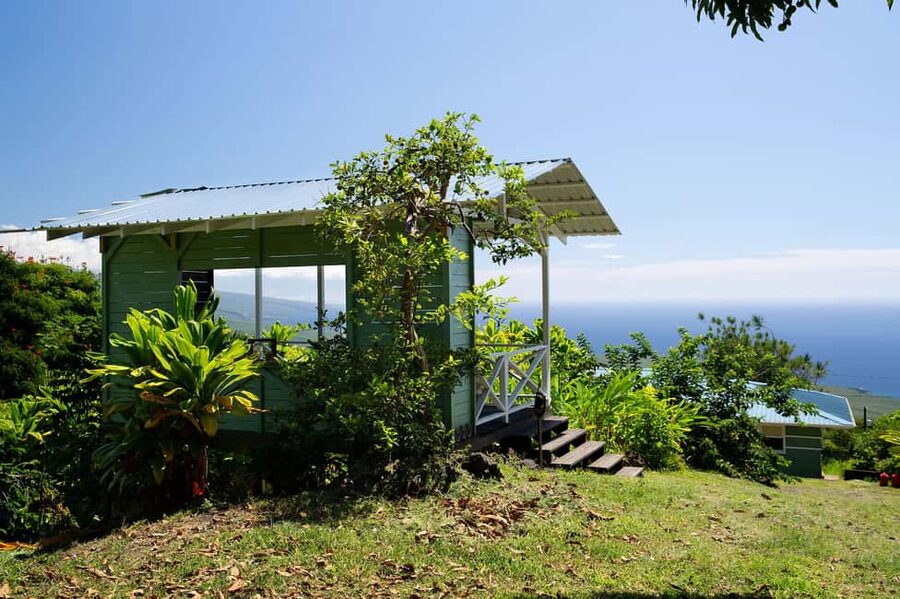 Hawaii: Hala Tree Coffee Farm Tour and Tasting - Walking the Kona Coffee Orchard and Spotting the Red Cherries