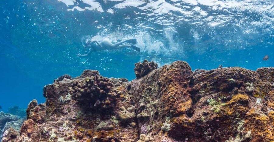 Hawaii: Pu'uhonua O Honaunau & Kealakekua Bay Snorkel Tour - The return route: sea caves, lava tubes, and a slower look at South Kona