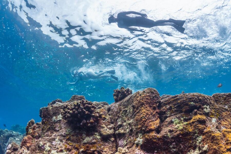 Hawaii: Pu'uhonua O Honaunau & Kealakekua Bay Snorkel Tour - Kealakekua Bay and Captain Cook: snorkeling with a built-in story