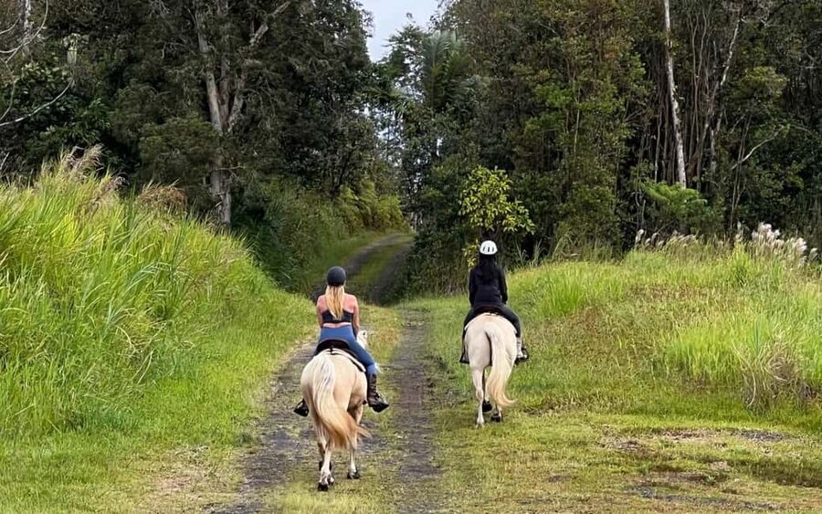 Hawaii: Small Group Rainforest Trail Ride - Big Island Rainforest Trail Ride to Wao Kele o Puna