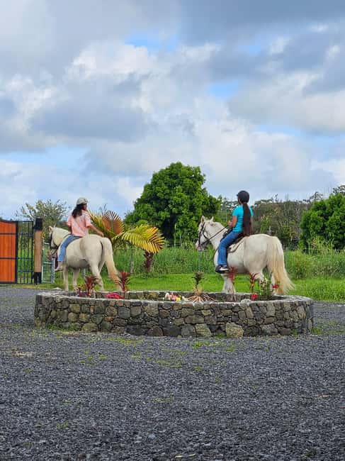 Hawaii: Small Group Rainforest Trail Ride - Who This Ride Fits: Intermediate to Advanced Only