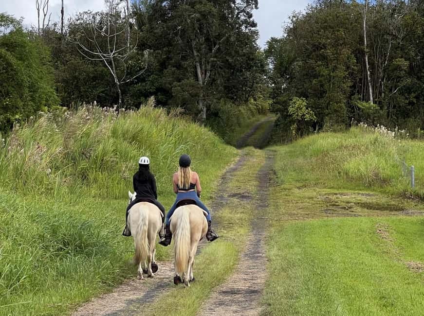 Hawaii: Small Group Rainforest Trail Ride - What to Wear and Know Before You Go