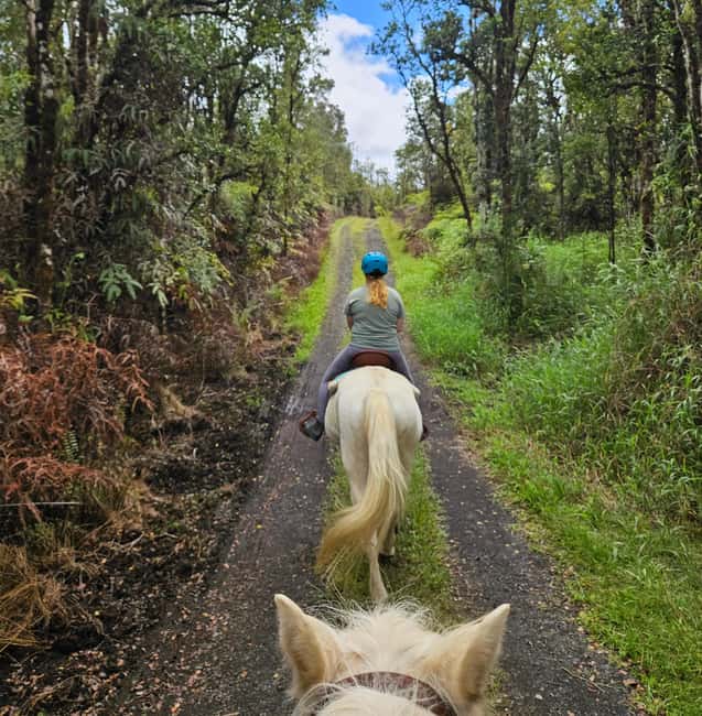 Hawaii: Small Group Rainforest Trail Ride - Timing on the Big Island: Afternoon Is Usually the Sweet Spot